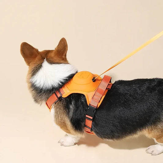 Automatic Retractable Dog Leash